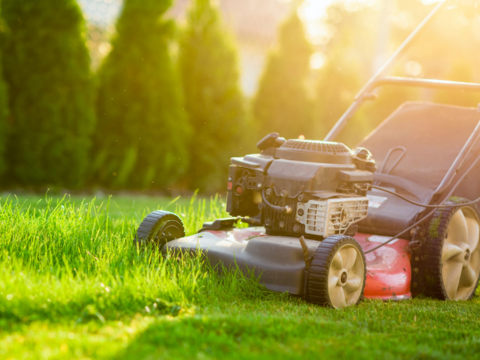 gressklipper i en hage med høyt gress gressklipper i en hage med høyt gress