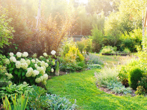 hage i full blomst og med grønt gress hage i full blomst og med grønt gress