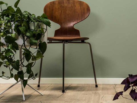 gulv fra Opus i en stue med grønne vegger og stol på gulvet